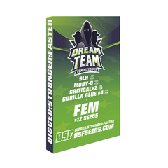 Mix Feminizadas Dream Team X 12 BSF en internet