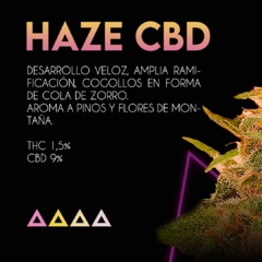 Fotoperiodica Haze CBD x 3 semillas Sé+ Colección - comprar online