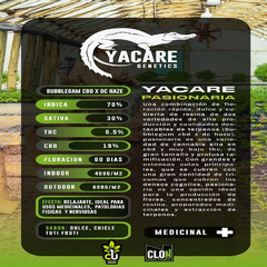 Fotoperiodica Pasionaria CBD x 4 semillas Yacare Genetics - comprar online