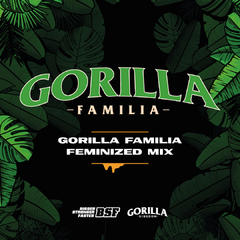 Mix Feminizadas Gorila Family X 12 BSF