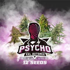 Mix Autofloreciente Psycho XXL X 4 BSF