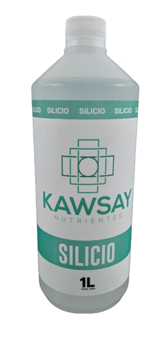 Silicio 1 L. Kawsay