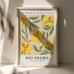 Cuadro Flor Nativa RIO NEGRO (IND-1021)