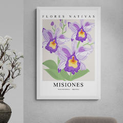 Cuadro Flor Nativa MISIONES (IND-1025) - comprar online