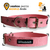 Collares Lisos para Perros Grandes - comprar online