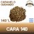 Cara-140