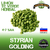 Styrian Golding - Hopsteiner
