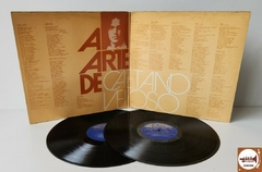 Caetano Veloso - A Arte De (2xLPs / Capa dupla) - comprar online