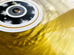 Bon Jovi - 2020 (2xLPs / Ed Limitada / Colorido Gold) na internet
