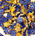 Aplique Chuva de Cristal Azul Royal Pct com 50 peças Ref:1552 - comprar online