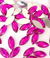 Chaton Navete 15mm Pink Pct com 200 ref:9194 - comprar online