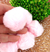 Pompom Peluciado Rosa Bebê 45mm Para Artesanato Pct com 2 pçs ref.:4194 na internet