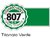 Acrílico ALBA Titanato Verde S.4 807 - comprar online