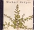 CD MICHAEL HEDGES / TAPROOT [16]