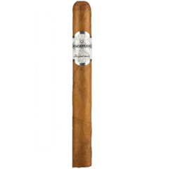 Macanudo White Churchill