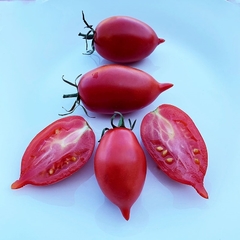 Tomate Amish Red - Plantas produtivas e fáceis de cultivar - comprar online