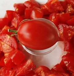 Tomate Amish Red - Plantas produtivas e fáceis de cultivar