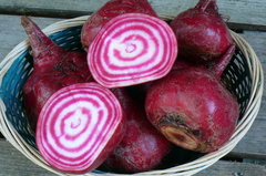 Beterraba Chioggia - Plantamundo