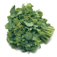 Brocoli Ramoso - Brocoli em Rama _ Broccolis Raab