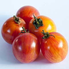 Tomate Bumble Bee - Tomate Cereja - Cherry raro