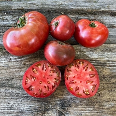 Tomate Carbon Rojo - Tomate Beefsteak Carbon - comprar online