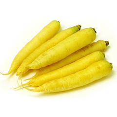 Cenoura Amarela Solar - Cenoura Solar Yellow