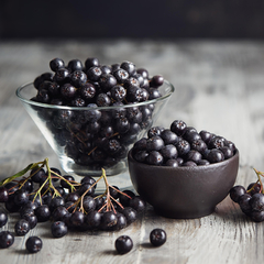 Blueberry Gigante - Chokeberry - Aronia Melanocarpa - comprar online