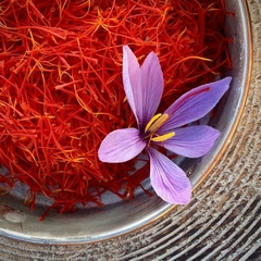 Mudas de Açafrão Verdadeiro - Crocus sativus