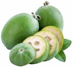 Feijoa sellowiana - Acca sellowiana - Goiaba Serrana- Fruta Nativa