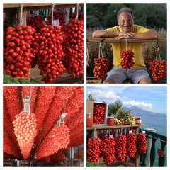 Combo de Tomates do Vesúvio - Pomodoros Vesuvianos