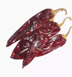 Pimenta Guajillo - Pimenta Mirasol - Capsicum annuum - comprar online