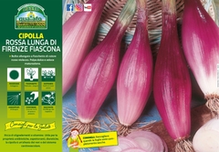 Cebolla Italiana Cipolla Rossa Lunga Di Firenze - comprar online