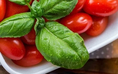 Tomate Italiano Napoli- Crioulo - comprar online