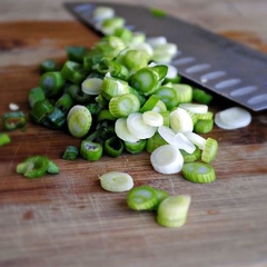 Cebolinha Japonesa o Ano Todo NEBUKA - Plantamundo