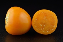 Physalis peruviana - Physalis edulis - Golden Berry