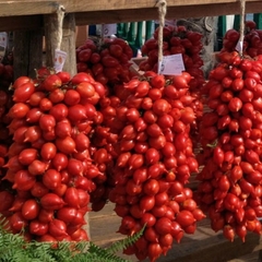 Combo de Tomates do Vesúvio - Pomodoros Vesuvianos - comprar online