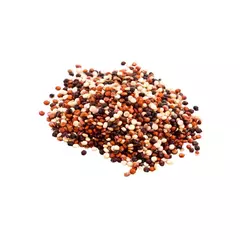 Quinoa Mix (Vermelha, Preta e Branca) - Chenopodium quinoa