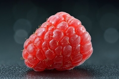 Framboesa Gigante - Rubus idaeus - loja online