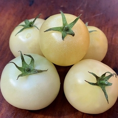 Tomate Super Snow White - Tomate Branco