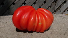 Tomate Tlacolula - Tomate Mexicano para rechear - Raro, bizarro e delicioso na internet