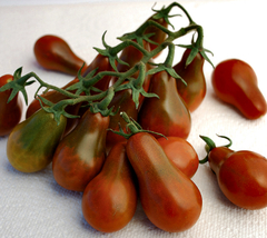 Tomate Cherry Chocolate Pear - Pera Chocolate na internet