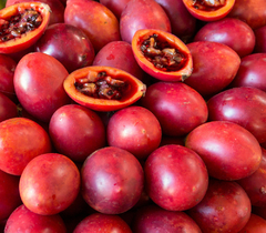 Tamarillo - Tamarilho - Tomate de Árvore - Cyphomandra betacea - comprar online