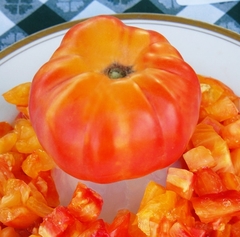 Tomate Joya de Oaxaca - Jóia de Oaxaca