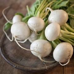 Nabo Ovos Brancos - White Eggs - Brassica rapa