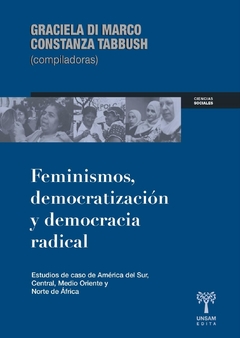 FEMINISMOS, DEMOCRATIZACIÓN Y DEMOCRACIA RADICAL - GRACIELA DI MARCO