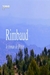 Rimbaud, Os Anos da Abissínia