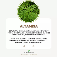 Altamisa microdosis - comprar online