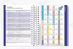 Imagem do CADERNETA DE VACINA DO BEBÊ LUXO - MANDALUHZ - Jardim Pássaros e Borboletas 2