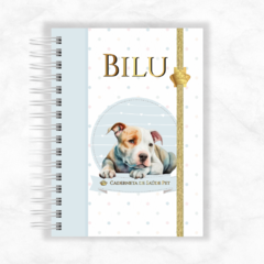 Caderneta De Vacina Pet Personalizada Mandaluhz - Azul