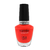 Esmalte Cuccio Colour Shaking my Morocco 13ml